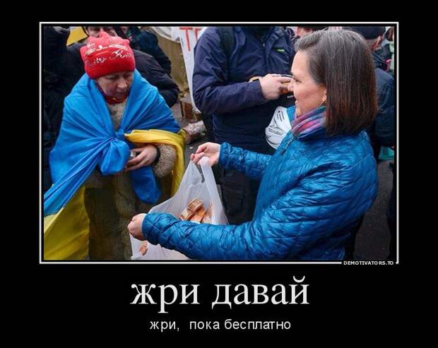 Новая двухпартийность Украины: «слуги» против «собак» под приглядом США?