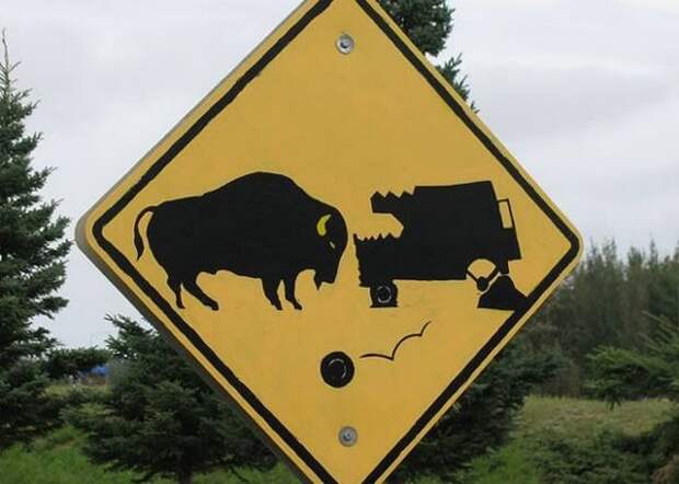 Курьёзный знак: «Злые бизоны».