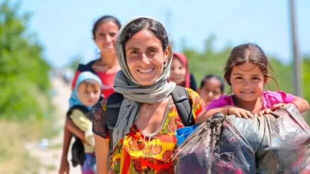 Коллаж NovorosInform