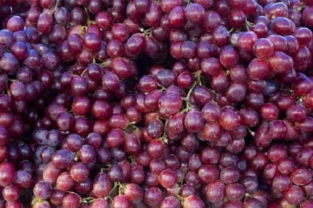 Скажи микроволновке «нет»: 10 продуктов, которые не стоит разогревать в СВЧ