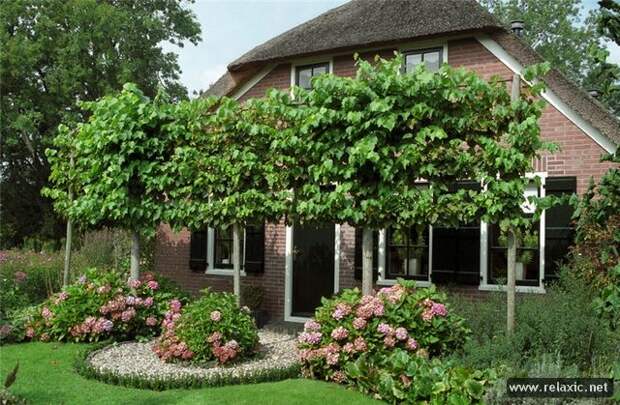 Giethoorn_043