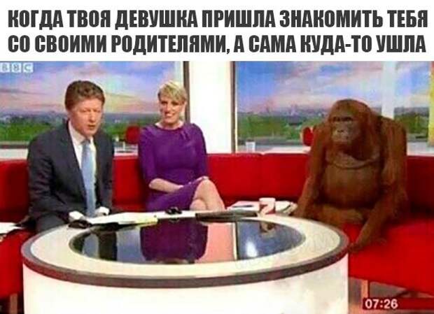 Мемы и картинки
