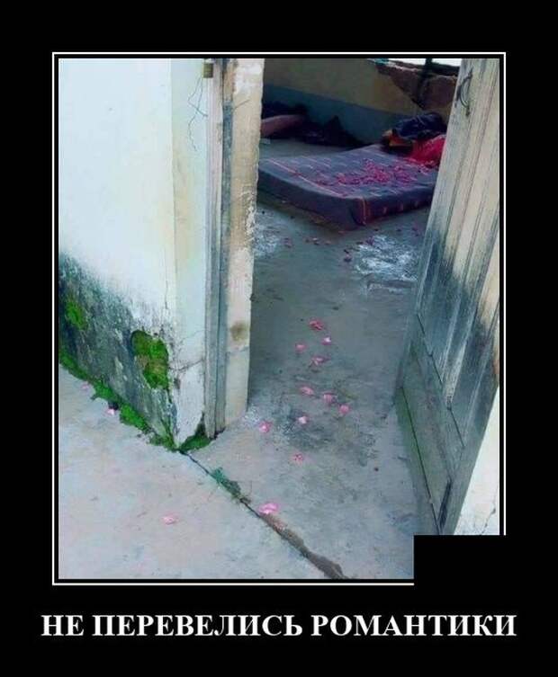 Демотиватор смешной