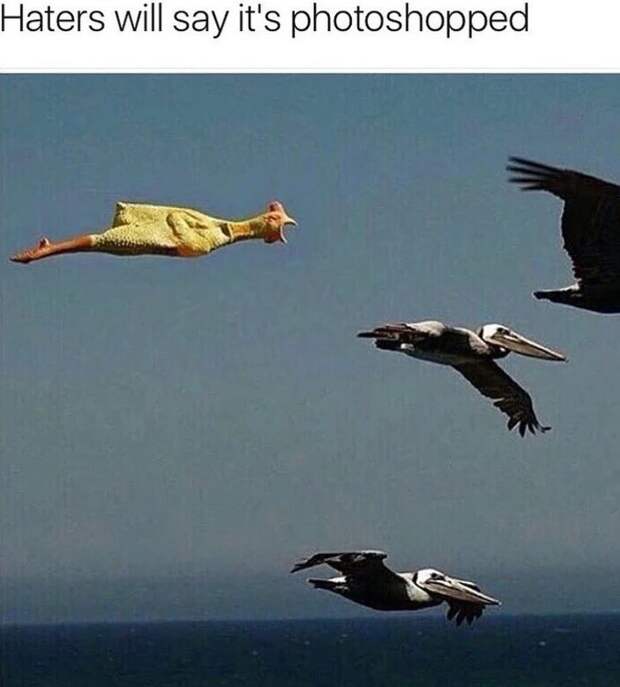 Хейтеры скажут что это фотошоп