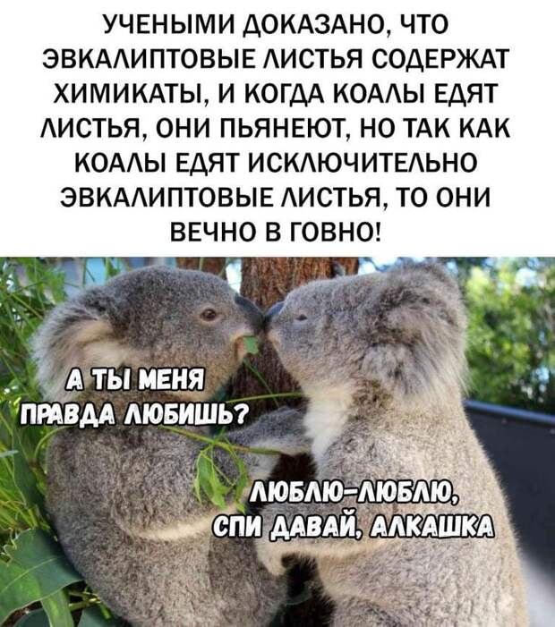 17 свежих шуточек и анекдотов с просторов Сети, чтоб посмеяться от души