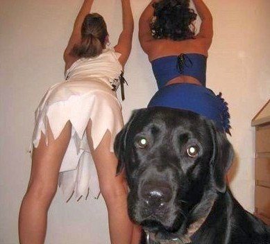 Фотографии, снятые в нужный момент