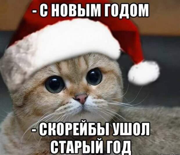 Шутки, мемы и картинки про Новый год