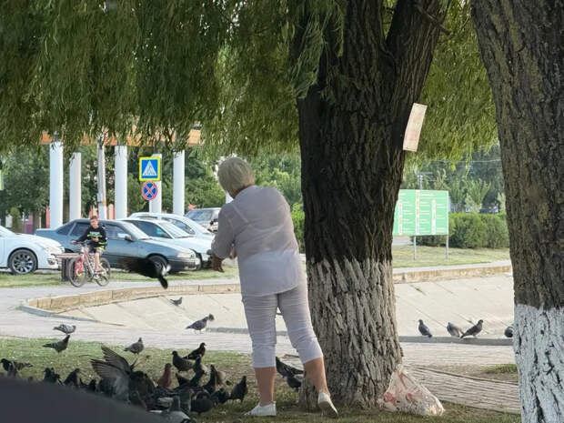 «Хватит изображать юнца»: пять отрезвляющих истин от Петра Мамонова, которые переворачивают жизнь после 60