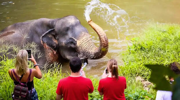 Таиланд зимой: Почему туристы массово уходят с пляжей Пхукета на север
