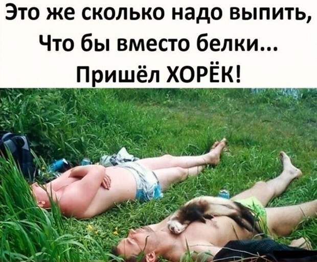 Алкопост на вечер этой пятницы