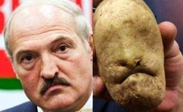 У нас в правительстве больных много: 10 самых ярких цитат президента Беларуси