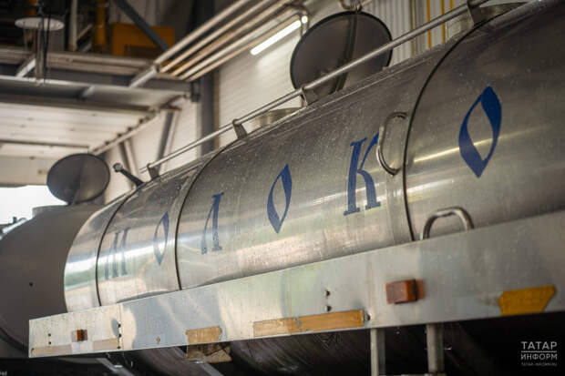 Десятка сильнейших: кто входит в топ молочного животноводства Татарстана