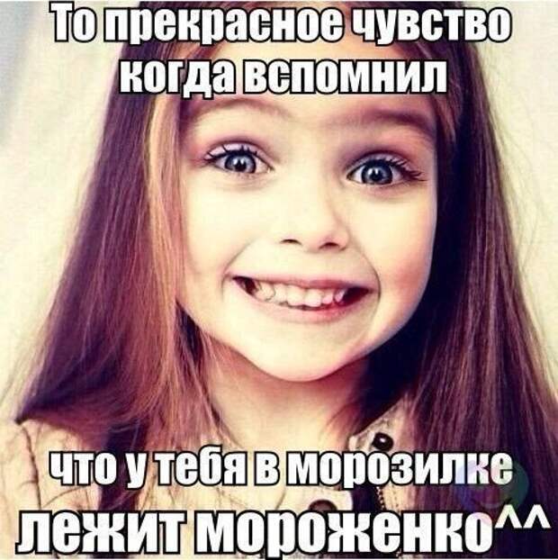 Прикольные фотомемы (23 шт)