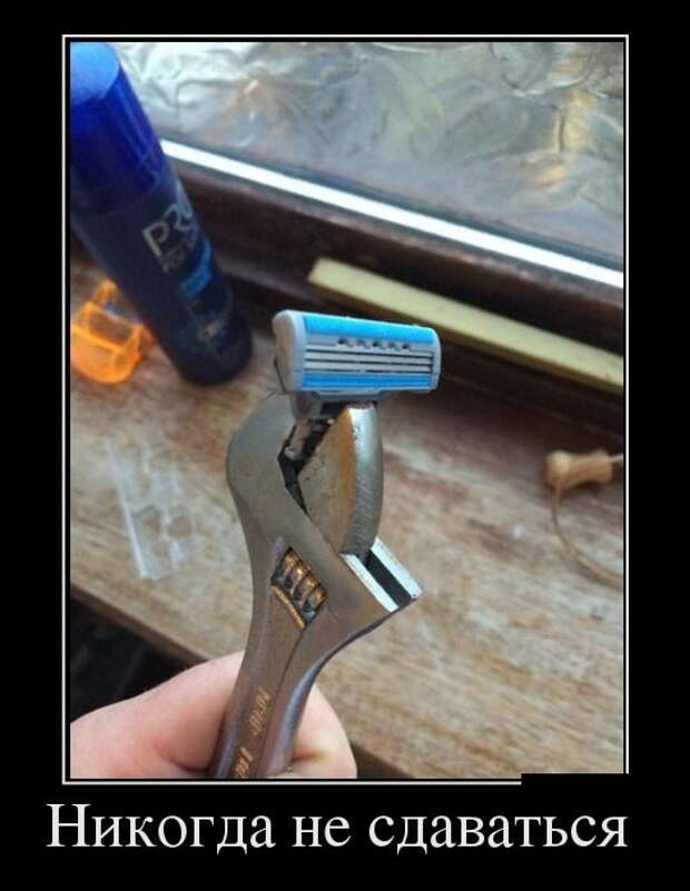 Демотиваторы