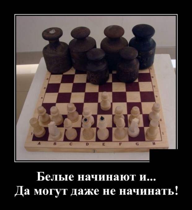 www.vsyako.net