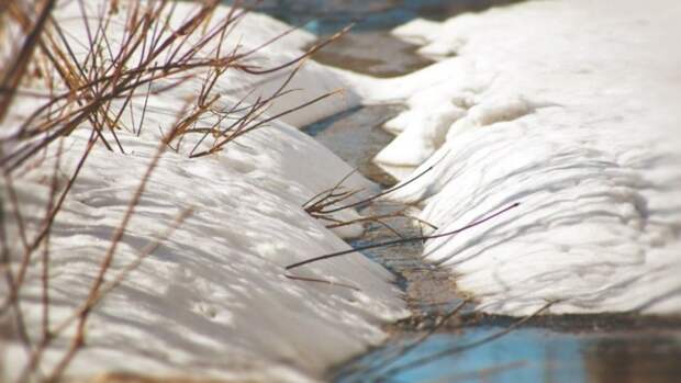 Мокрый снег и +5. Какая погода ждет Алтайский край 24 марта