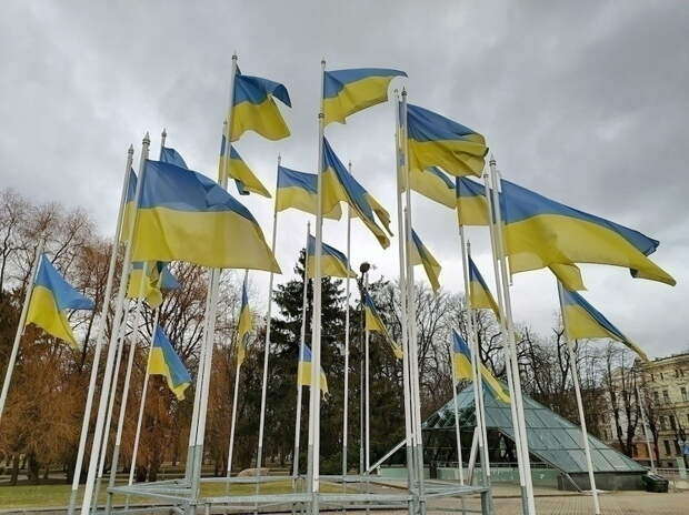 На Украине возмутились скандалом с новым министром Чехии