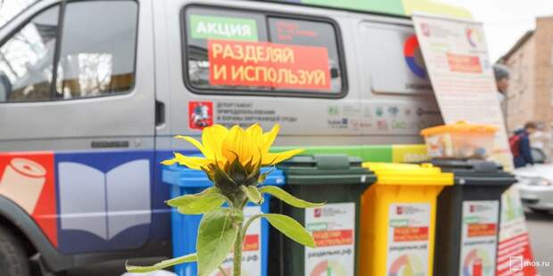 Экоакция «Разделяй и используй» пройдет в Лосинке 17 апреля. Фото mos.ru
