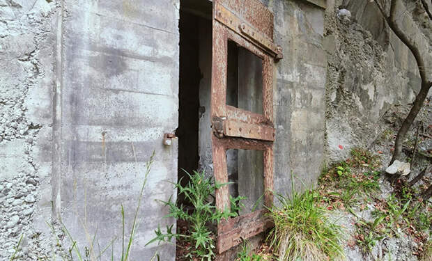 Источник фото: Reddit