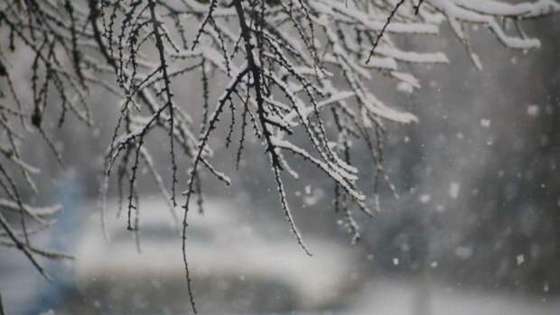 До -5. О погоде в Барнауле 1 марта