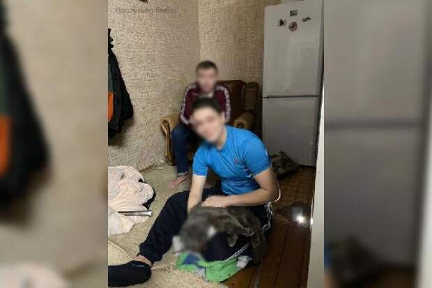 Осуждены трое юных тамбовчан, до смерти избивших домашнего кота