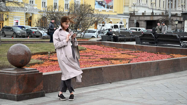 Сильный ветер обрушится на Москву – объявлен "желтый" уровень погодной опасности