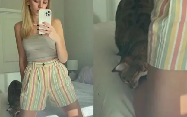 «Хватить страдать „фигней“»: кошка не дала хозяйке снять трендовое видео