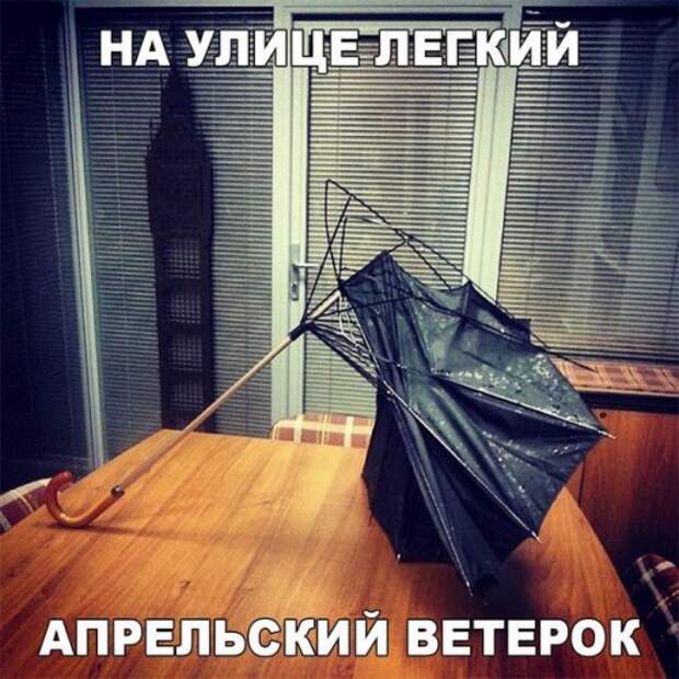Анекдоты-свежинки (11 шт)