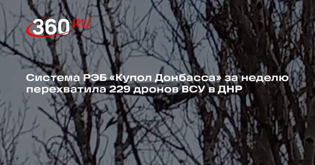 Система РЭБ «Купол Донбасса» за неделю перехватила 229 дронов ВСУ в ДНР