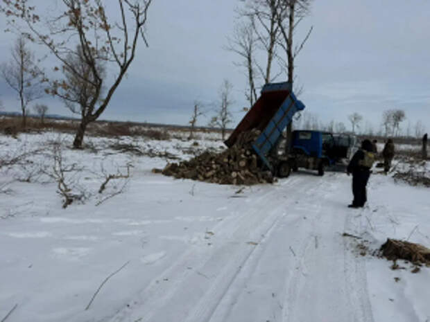 В Хабаровском крае полицейскими возбуждено уголовное дело о незаконной рубке лесных насаждений с общей суммой ущерба более 25 млн рублей