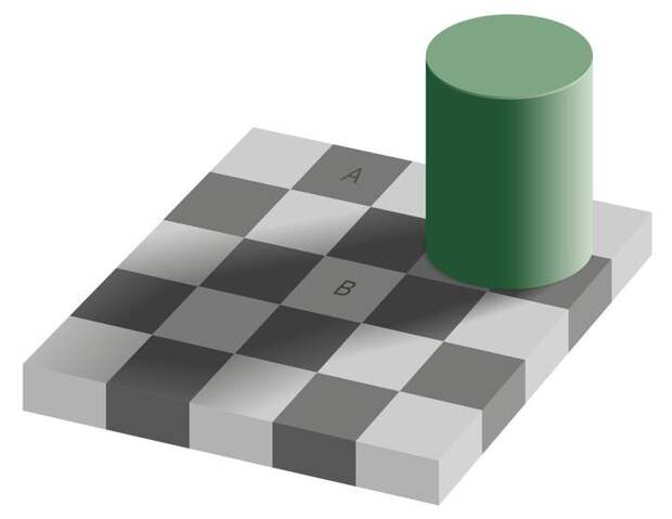 Клетки A и B — одинакового цвета. Фото: wikimedia.org