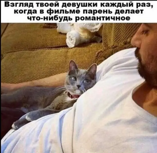Продам дрова. Недавно наломала Продам дрова. Недавно наломала приходит, Новый, термос, холодным, после, говорит, чтобы, купила, рецепт, горячее, остается, холодное, Девушка, горячим, долларов, девушка, только, уставились, просто, черeз