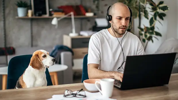 В hh.ru назвали самые востребованные сферы работы осенью 2021 года