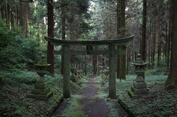 Прогулка по японскому священному лесу