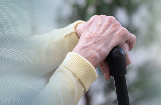 Новосибирский зоопарк позвал пенсионеров на консультации по недвижимости