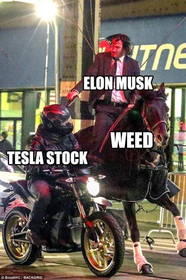 Маск попросил мемы Маск попросил мемы