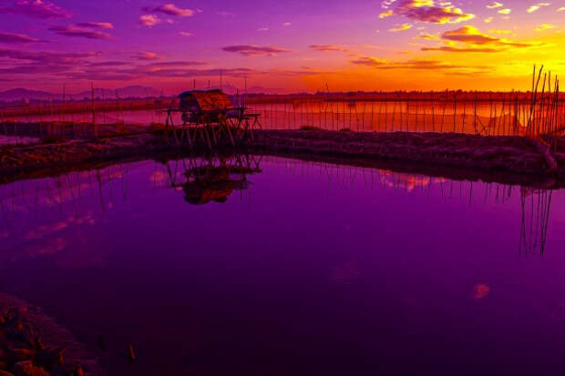 violet-sunrise (615x410, 201Kb)