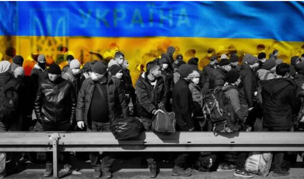 Украинцы в Европе готовы встать в очередь за российским гражданством