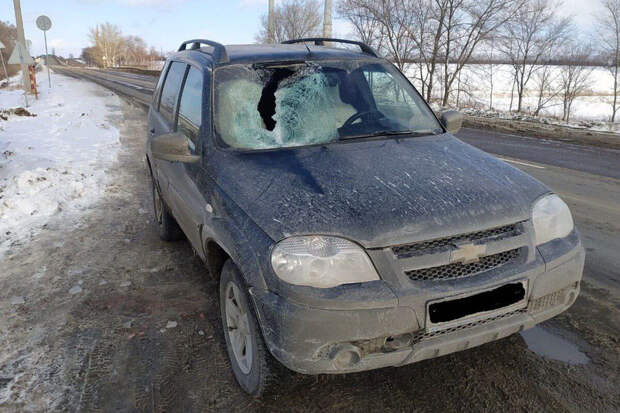 В Воронежской области кусок льда влетел в пассажирку "Нивы" через стекло