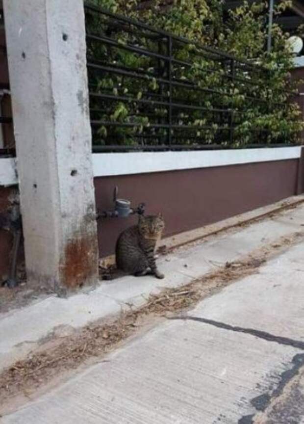 Что было в записке