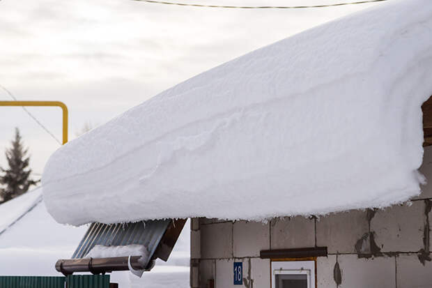 Способы сохранить здоровье в злые морозы назвали новосибирцам