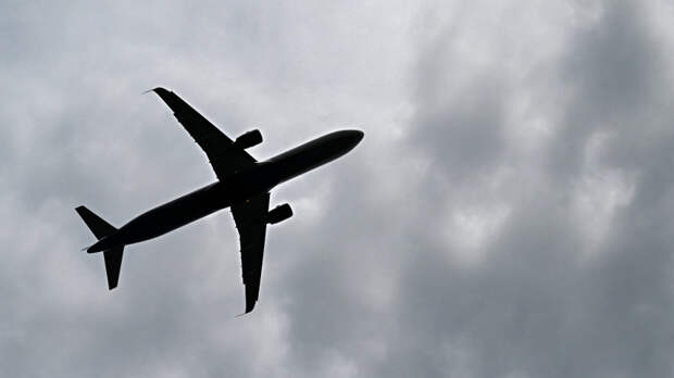 «На весь самолет закричала»: следующий из Вьетнама в Россию борт экстренно вернулся в аэропорт вылета