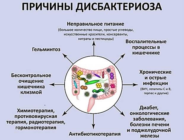 Коррекция запоров при дисбактериозе с помощью правильного питания и диеты