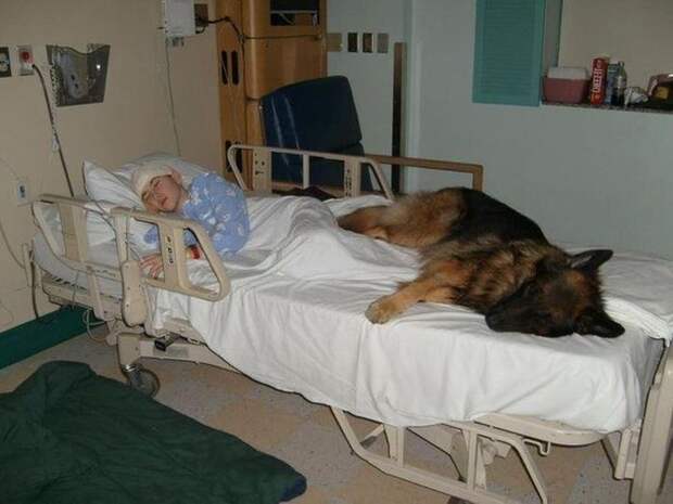 Эмоциональные снимки  конкурс, лучшие, фото, фотоподборка