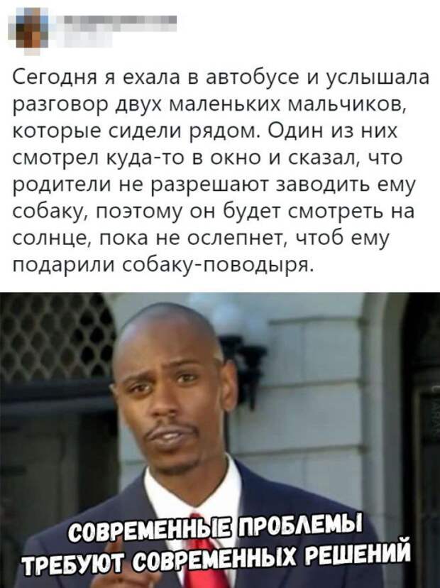 Подборка картинок. Дневной выпуск (20 фото)