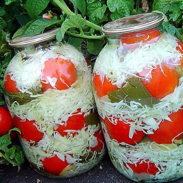 ПОМИДОРЫ С КАПУСТОЙ