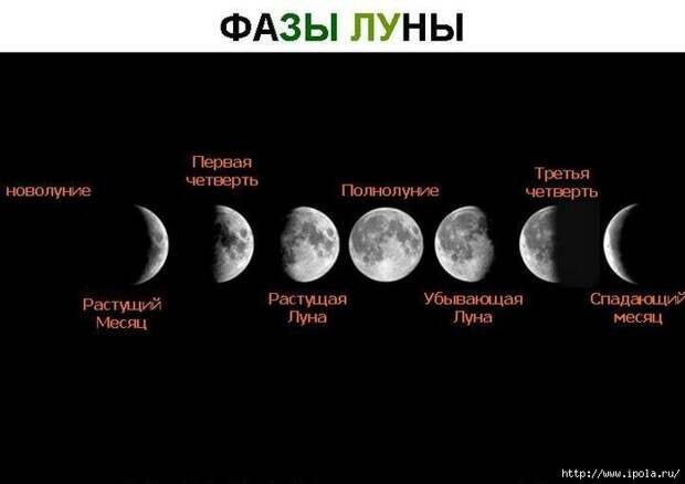 alt="Влияние Луны на здоровье человека"/2835299_FAZI_LYNI (700x494, 68Kb)