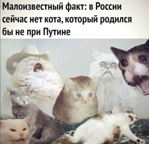 путин будет у власти вечно