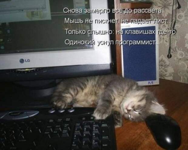 Прикольная котоматрица (22 шт)