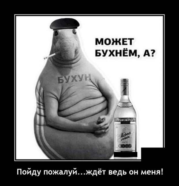 Демотиваторы 25 октября 2021 года
